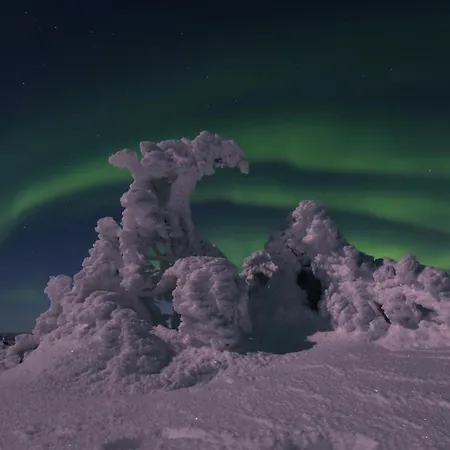 شقة Metsonlinna 204 *