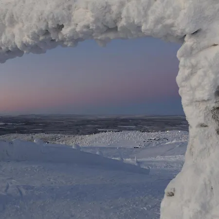 شقة Metsonlinna 204