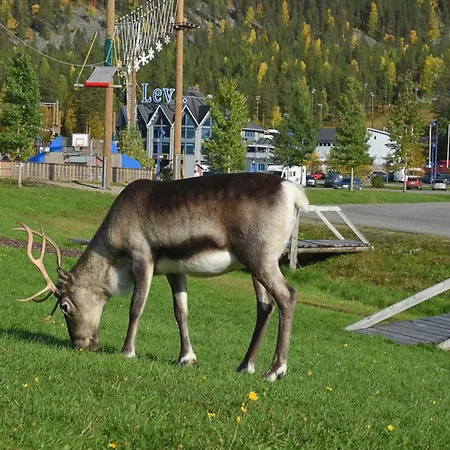 Metsonlinna 204 شقة *