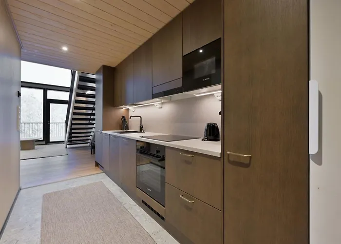 Metsonlinna 204 * ليفي