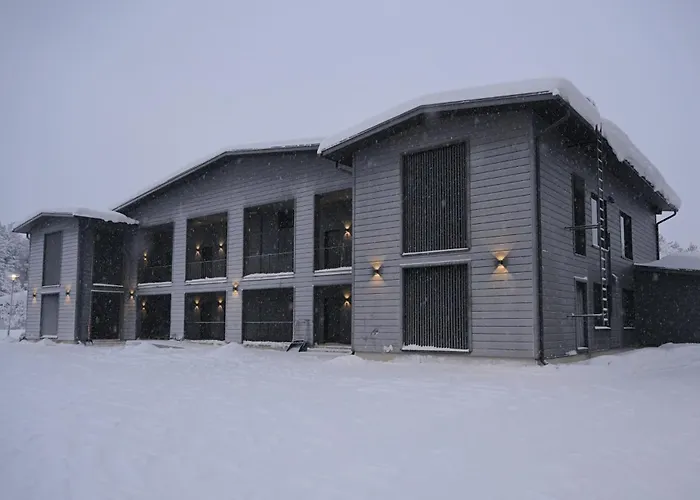 شقة Metsonlinna 204 ليفي