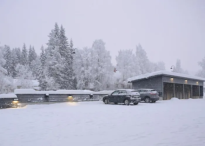 Metsonlinna 204 ليفي