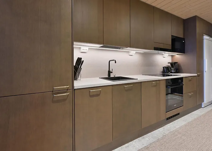 Metsonlinna 204 شقة ليفي