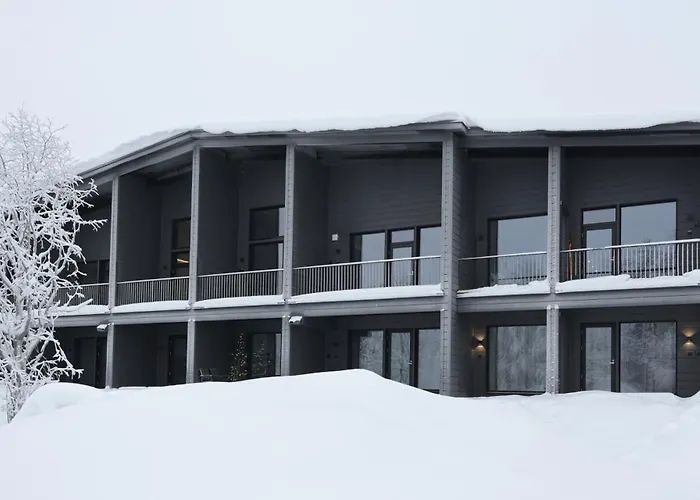 Metsonlinna 204 ليفي