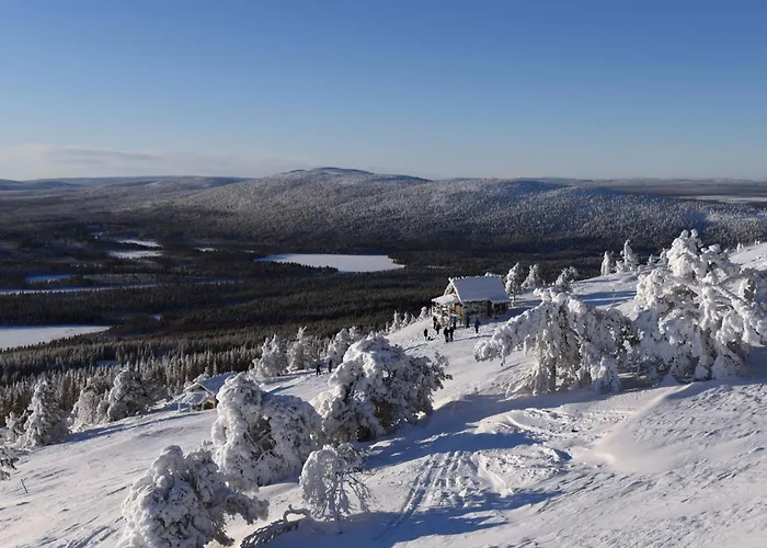 Metsonlinna 204 * ليفي