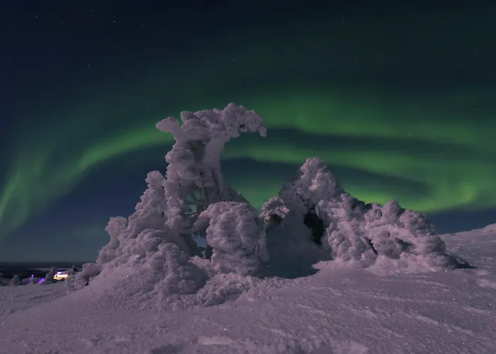 شقة Metsonlinna 204 *