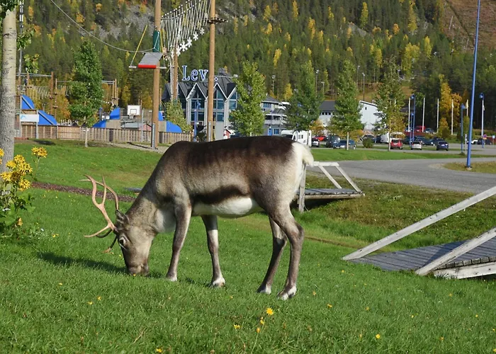 Metsonlinna 204 شقة *